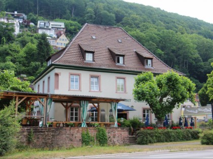 Foto: Grüner Baum