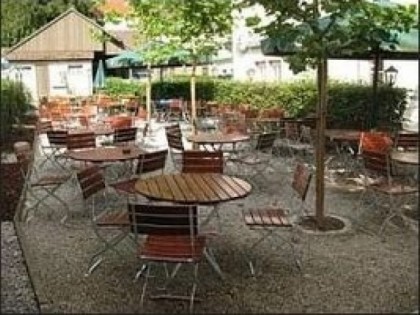 Foto: Grüner Baum